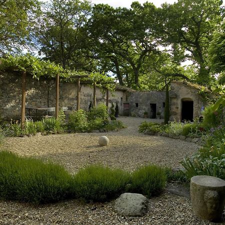 Vila Casa Di Pietro In Vivo D'Orcia, Pool Exteriér fotografie